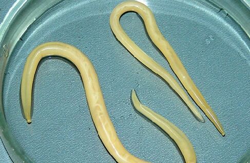 roundworms from children's bodies