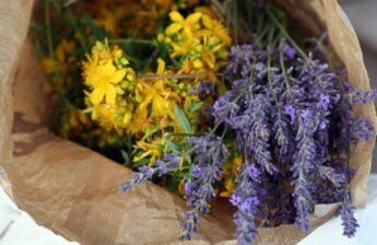 Herbs kill parasites in the body