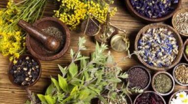 Medicinal plants will help eliminate the parasites