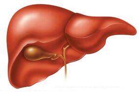 big liver with parasites