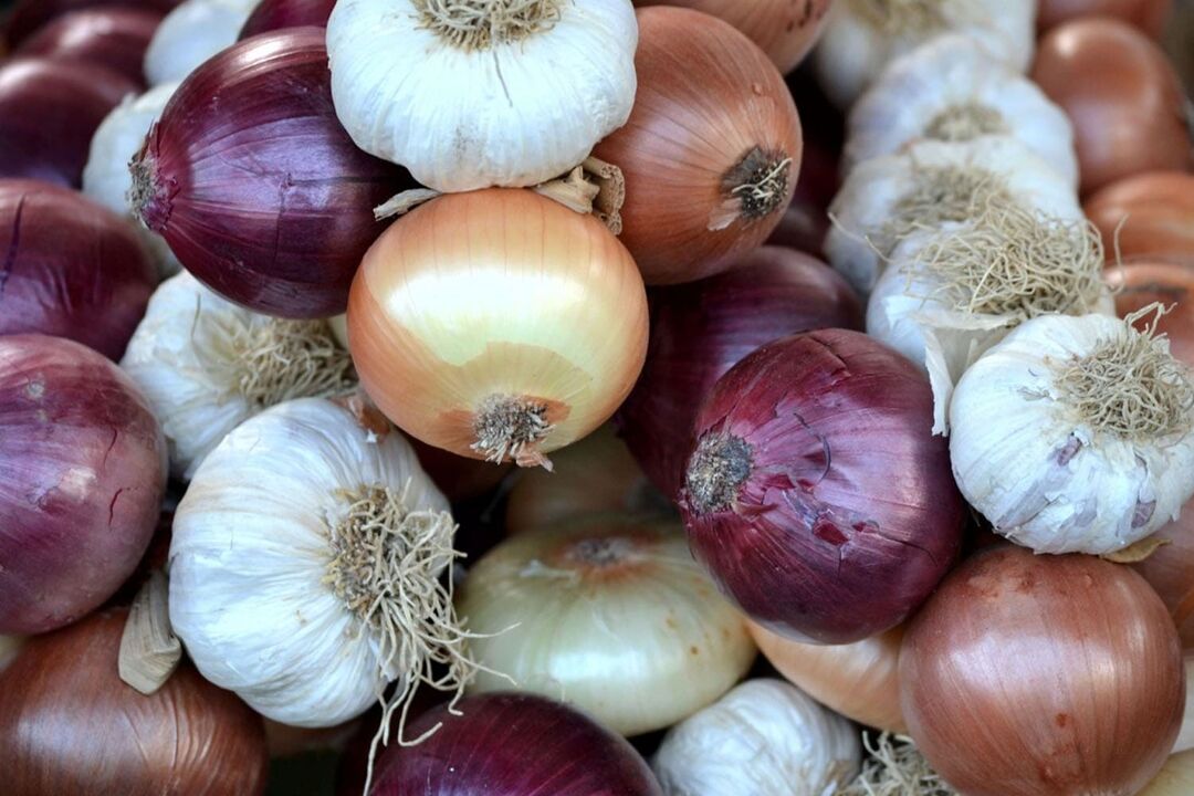 onions and garlic for deworming